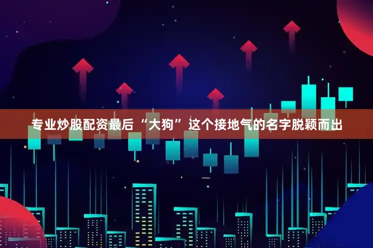 专业炒股配资最后 “大狗” 这个接地气的名字脱颖而出