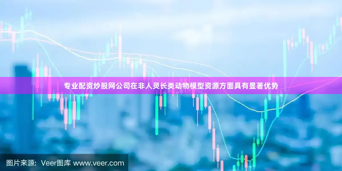专业配资炒股网公司在非人灵长类动物模型资源方面具有显著优势